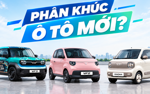 Ô tô giá 200-300 triệu liên tục xuất hiện: Hệ quả của cuộc đua 'đại hạ giá' hay thị trường Việt có thêm phân khúc mới?