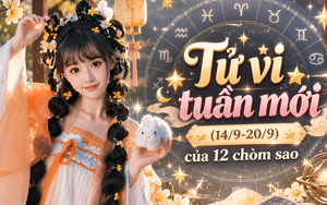 Tử vi tuần mới (14/9-20/9): Top 3 chòm sao đón tuần mới nhiều may mắn, sự nghiệp thuận lợi, tình cảm thăng hoa