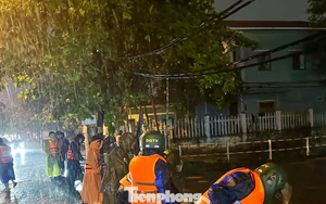 Đà Nẵng: Ngập sâu do mưa lớn, lực lượng chức năng khẩn cấp di dời dân trong đêm
