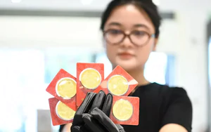 Giá vàng hôm nay (14/9): Quay đầu giảm nhẹ