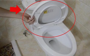 Lời khuyên cho tất cả các gia đình không đậy nắp bồn cầu trước khi xả nước