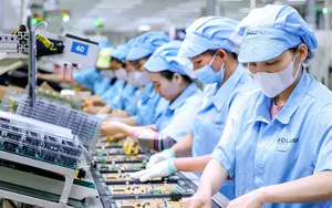 Bộ Nội vụ nói về đề xuất giảm thời giờ làm việc xuống 44 hoặc 40 giờ/tuần