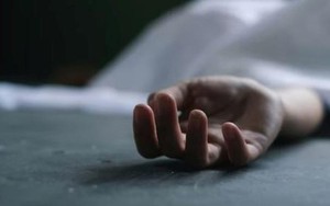 Hải Phòng: Người phụ nữ 69 tuổi đâm hàng xóm tử vong rồi tự tử, danh tính nạn nhân