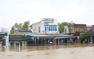 Lũ trên sông Hoàng Long đạt đỉnh, nhiều nhà dân Ninh Bình chìm trong biển nước