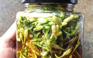 Lời khuyên dành cho tất cả những ai hay uống hoa đu đủ đực ngâm mật ong