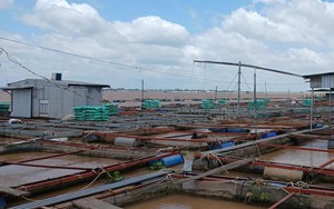 Vụ cha cứu con bị điện giật, cả 2 rơi xuống sông mất tích: Tìm thấy thi thể 2 cha con