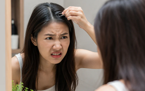 Lời khuyên cho tất cả những người cứ thấy tóc bạc là nhổ