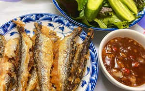 Chuyên gia Mỹ gọi tên loài cá "tốt bậc nhất thế giới", hóa ra ở chợ Việt bán đầy còn rẻ!