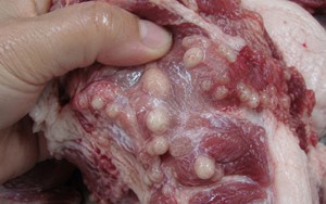 3 phần thịt lợn KHÔNG NÊN mua