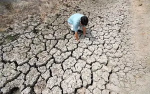 Siêu El Nino quay lại sau 11 năm: Việt Nam nguy cơ hạn khắc nghiệt