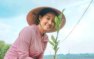 Nữ cử nhân về quê làm giàu từ mô hình nông nghiệp sạch