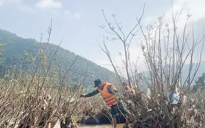 Nam thanh niên rơi xuống sông mất tích khi qua cầu phao ở Sơn La