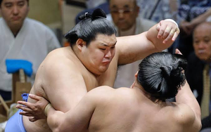 Bí ẩn phía sau vóc dáng và cân nặng 'khủng' của võ sỹ sumo