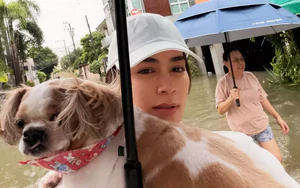 Showbiz Thái Lan tê liệt
