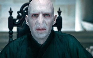 Giải mã tất cả 7 Trường Sinh Linh Giá trong Harry Potter: Báu vật, sinh vật và bí mật nghiệt ngã của Voldemort