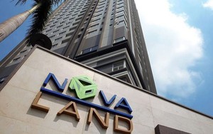 Novaland làm sao thế?