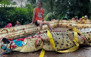 Nước lũ dâng cao, chùa ở Thái Lan dùng cần cẩu di chuyển cá sấu hơn 400kg