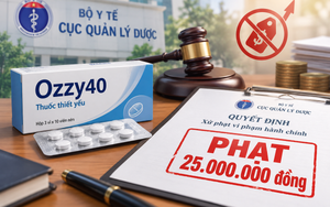 Kê khai sai giá thuốc, Công ty dược phẩm Đạt Vi Phú bị phạt 25 triệu đồng