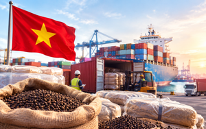 Một mặt hàng VN phải nhập khẩu cực nhiều dù xuất khẩu top đầu thế giới, phủ sóng hơn 125 quốc gia
