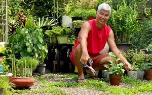 Từ "anh trưởng phòng" đến ngày "không còn ai hỏi việc": Khoảng trống tuổi hưu khó lấp đầy