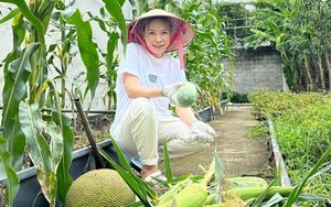 Vườn nhà nghìn mét vuông của Mỹ Tâm