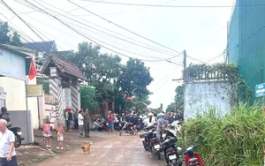Dùng kéo đâm chết người tình, tấn công con trai nạn nhân