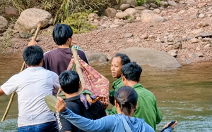 Băng rừng 15km, vượt 4 con suối khiêng người xa lạ bị rắn cắn đi cấp cứu
