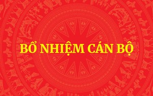 Thủ tướng bổ nhiệm 3 Thứ trưởng và 2 Phó Tổng Thanh tra Chính phủ
