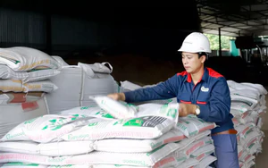 Hàn Quốc, Philippines tăng mua giá cao, xuất khẩu phân bón sắp lập kỷ lục