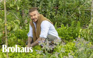 Khu vườn trồng rau nuôi gà 350 tỷ của Beckham