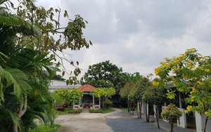 Việt Nam đã có "nhà dưỡng lão" nhận chăm sóc miễn phí hơn 200 người cao tuổi đến cuối đời: Khuôn viên viện rộng 1200m2, bao quanh nhiều hoa và cây xanh