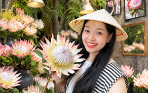 "Thảo đường hoàng đế" là hoa gì mà giá tới 1,5 triệu đồng/bông, khiến giới trẻ rần rần xếp hàng check-in?