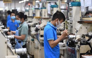 Từ mai (10/9), người lao động có thể bị phạt tiền lên đến 100 triệu đồng nếu vi phạm điều sau