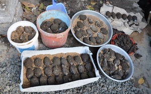 Phú Yên: Phát hiện 85 quả lựu đạn trong móng nhà