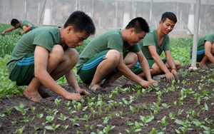 Một ngày của tân binh 9X