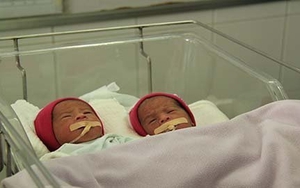 Ca sinh 5: Cần tới 15 người để ấp