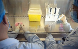 Trung Quốc phát hành thuốc kiểm tra bệnh cúm A/H7N9