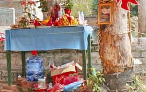 'Thần rắn' ở Bắc Giang đã chết