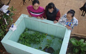 Cả huyện vái lạy... con ba ba 'biết chữa bệnh'