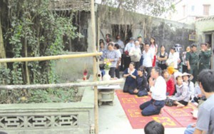 Tin đồn 'vợ chồng thần rắn' xuất hiện trên cây ở Nam Định