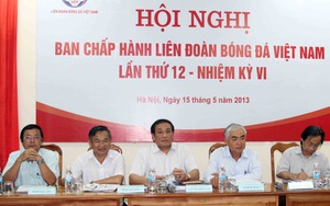 Bầu Ban chấp hành VFF có gian lận?