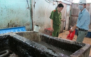 Rùng rợn công nghệ làm sạch lòng heo