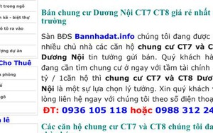 Chủ căn hộ bị “ép” rao bán nhà trên mạng