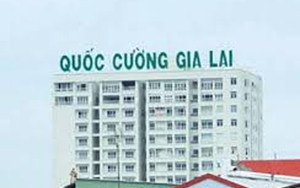 Vì đâu công ty nhà Cường Đôla gặp hạn?