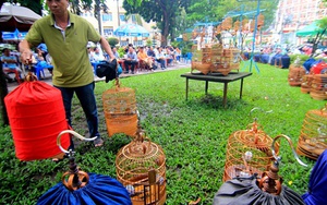Người Sài Gòn đến công viên đọ... chim quý
