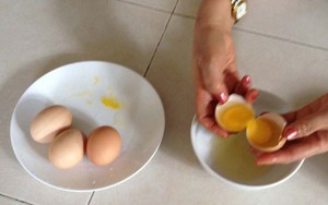 Ăn trứng 2 lòng đỏ có đáng lo?