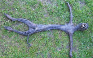 Hóa giải tin đồn về xác người ngoài hành tinh khô héo ở Nam Phi