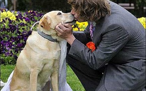 Kỳ lạ với những người không thích kết hôn cùng con người