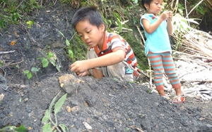 Quảng Nam: Hoang mang đất đen gây ung thư