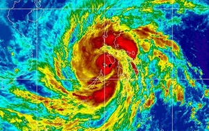 "Nghe tin siêu bão Haiyan về miền Trung mà lòng thắt lại"